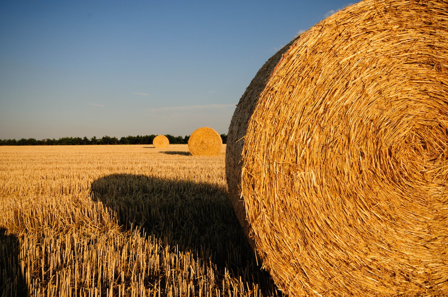 How to Calculate the Number of Hay Bales per Acre